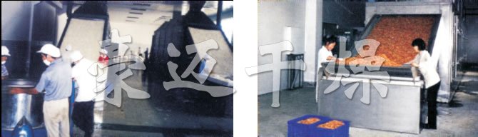 DW多層帶式幹（gàn）燥（zào）機