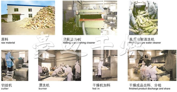 DWC係（xì）列脫水蔬菜帶式幹燥機