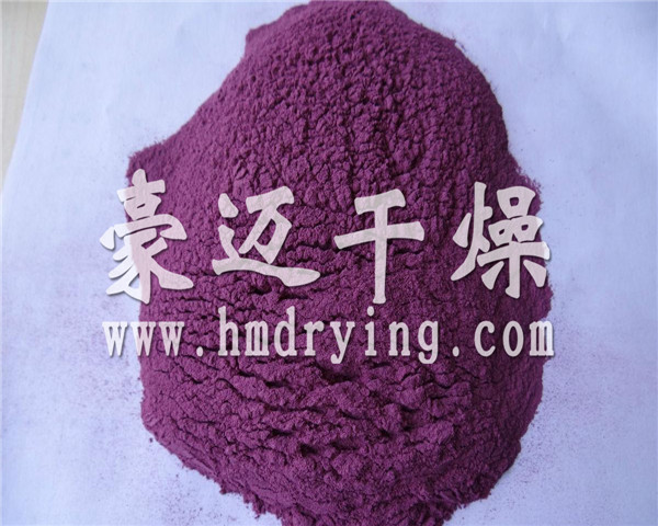滾筒刮板幹燥機幹燥後（hòu）的紫薯（shǔ）粉